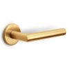 Deurklink BASICS LBII-19 op ronde rozet PVD mat goud