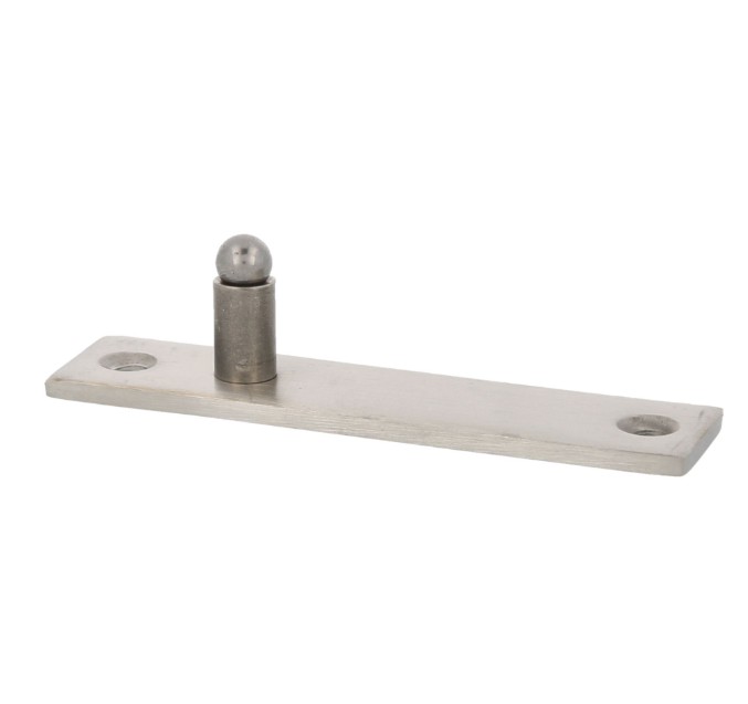 AMIG Pivot/taatsdeurscharnier rvs - Afbeelding 6