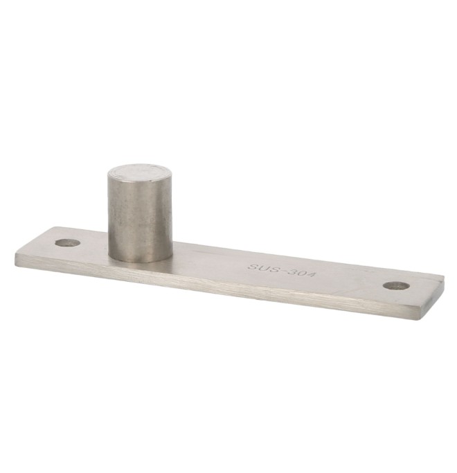 AMIG Pivot/taatsdeurscharnier rvs - Afbeelding 8
