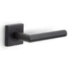Deurklink BASICS LBII-19BSQR53 op geveerd rozet mat zwart