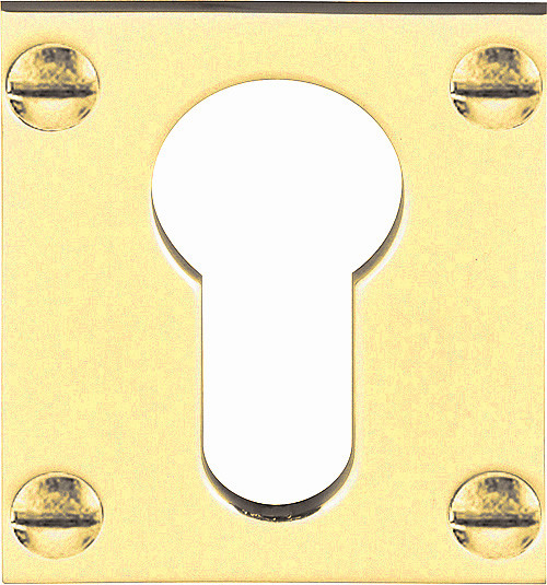 Cilinderplaatje Timeless GSYV38/45 Messing Ongelakt