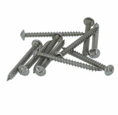 Anti inbraakschroeven 4,0x40mm RVS