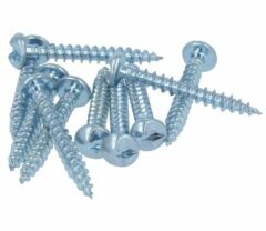 Anti inbraakschroeven 4,0x30mm