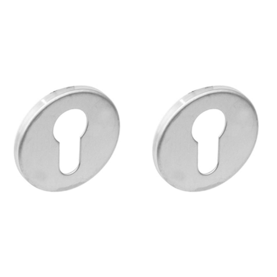 Intersteel cilinderrozetten verdekt ø53x5mm rvs