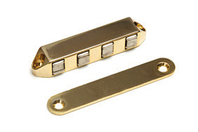 Magneetsnapper super polair 8 kg verguld