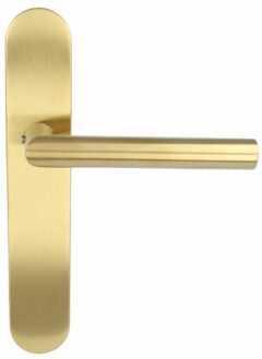 Deurklink op blind schild BASICS LBII-19P13SFC PVD mat goud