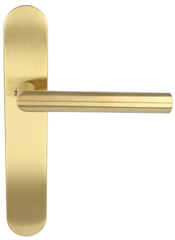 Deurklink op blind schild BASICS LBII-19P13SFC PVD mat goud