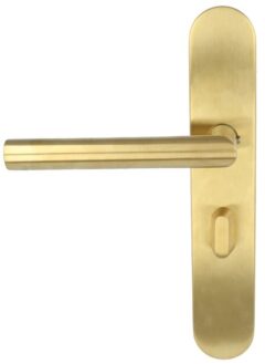 Deurklink op schild links toiletsluiting 63/8 mm BASICS LBII-19P13WC PVD mat goud