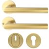 SKG3 Veiligheid Achterdeur Set Sharon PVD Mat Goud