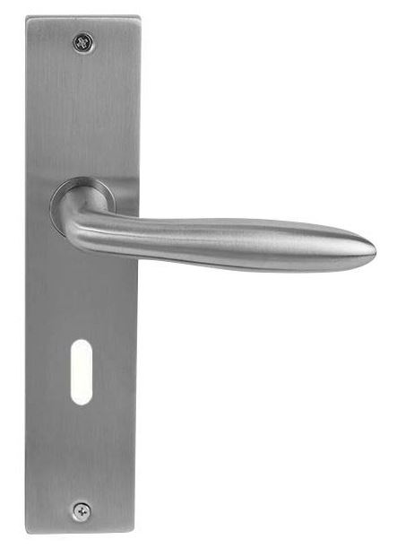 Deurkruk Sigaar model Massief RVS Op Schild SL56