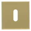 Sleutelplaatje Vierkant 53x53x10 PVD Mat Goud