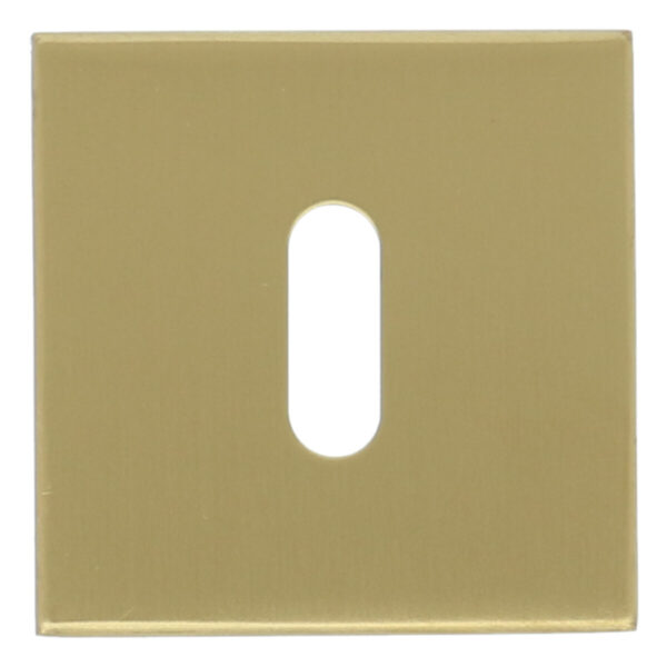 Sleutelplaatje Vierkant 53x53x10 PVD Mat Goud