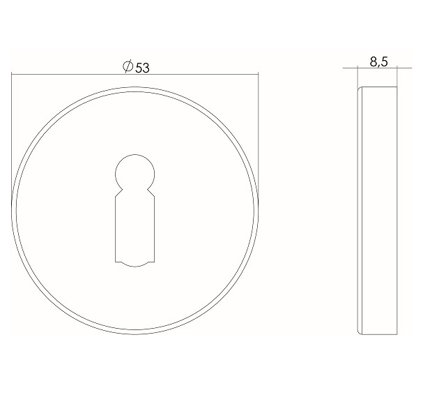 Intersteel sleutelrozetten verdekt ø53x9mm rvs