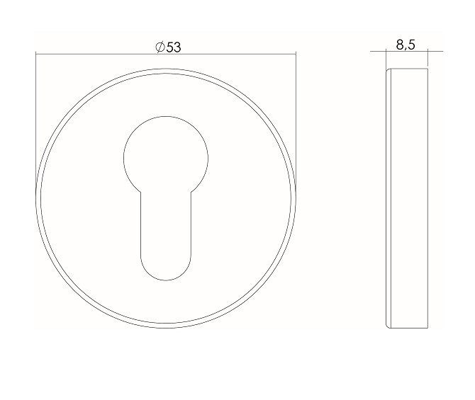 Intersteel cilinderrozetten verdekt ø53x9mm rvs