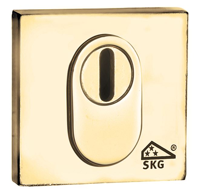 SKG3 cilinderrozet buiten + kerntrekbeveiliging Bauhaus messing PVD