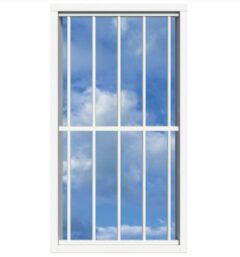 SecuBar Lichtkoepelbeveiliging Fix & Go - 5 spijls 1000x2000 mm