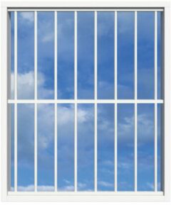 SecuBar Lichtkoepelbeveiliging Fix & Go - 8 spijls 1500x2000 mm