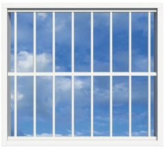 SecuBar Lichtkoepelbeveiliging Fix & Go - 8 spijls 1500x1500 mm