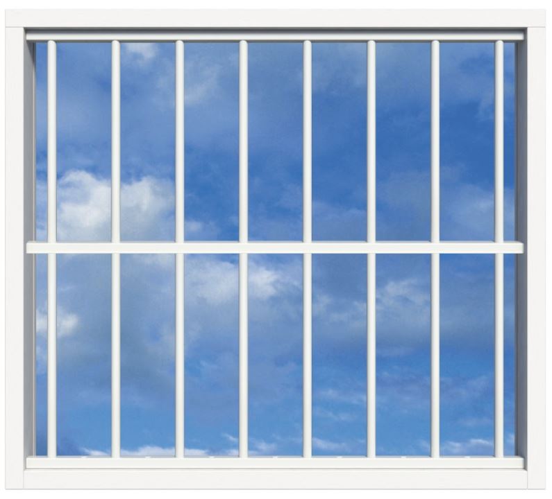 SecuBar Lichtkoepelbeveiliging Fix & Go - 8 spijls 1500x1500 mm