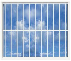 SecuBar Lichtkoepelbeveiliging Fix & Go - 11 spijls 2000x2000 mm