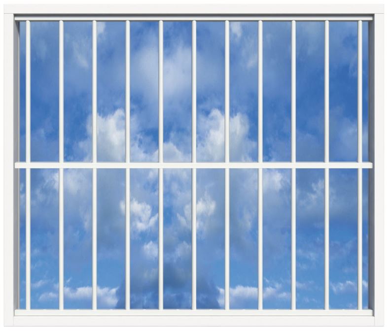 SecuBar Lichtkoepelbeveiliging Fix & Go - 11 spijls 2000x2000 mm