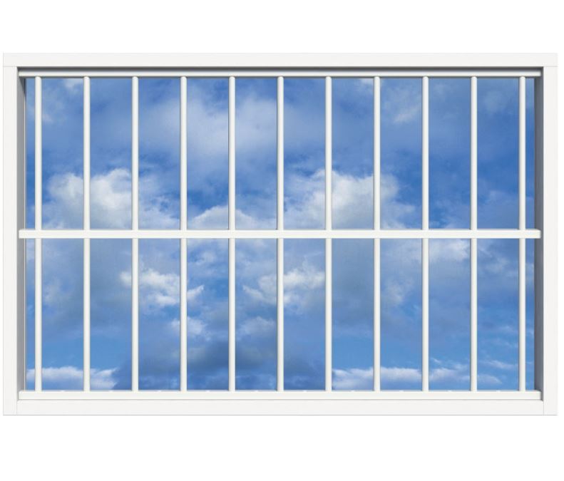 SecuBar Lichtkoepelbeveiliging Fix & Go - 11 spijls 2000x1500 mm