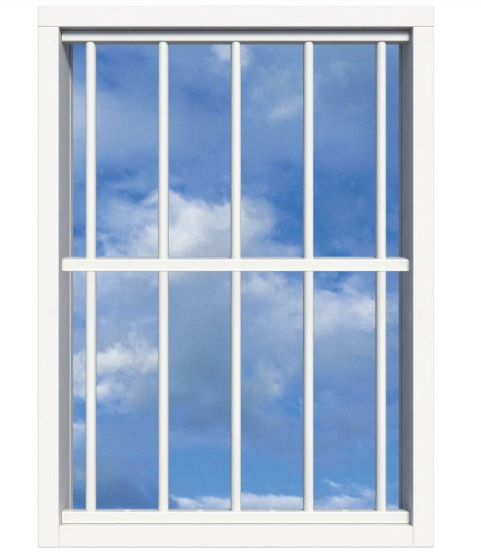 SecuBar Lichtkoepelbeveiliging Fix & Go - 5 spijls 1000x1500 mm