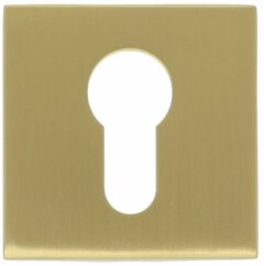 Cilinderplaatje BASIC BSQY53 PVD mat goud