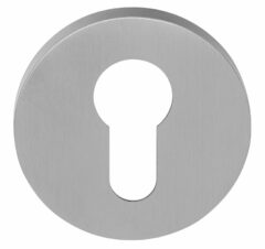 Cilinderplaatje ECLIPSE DRY53 mat RVS