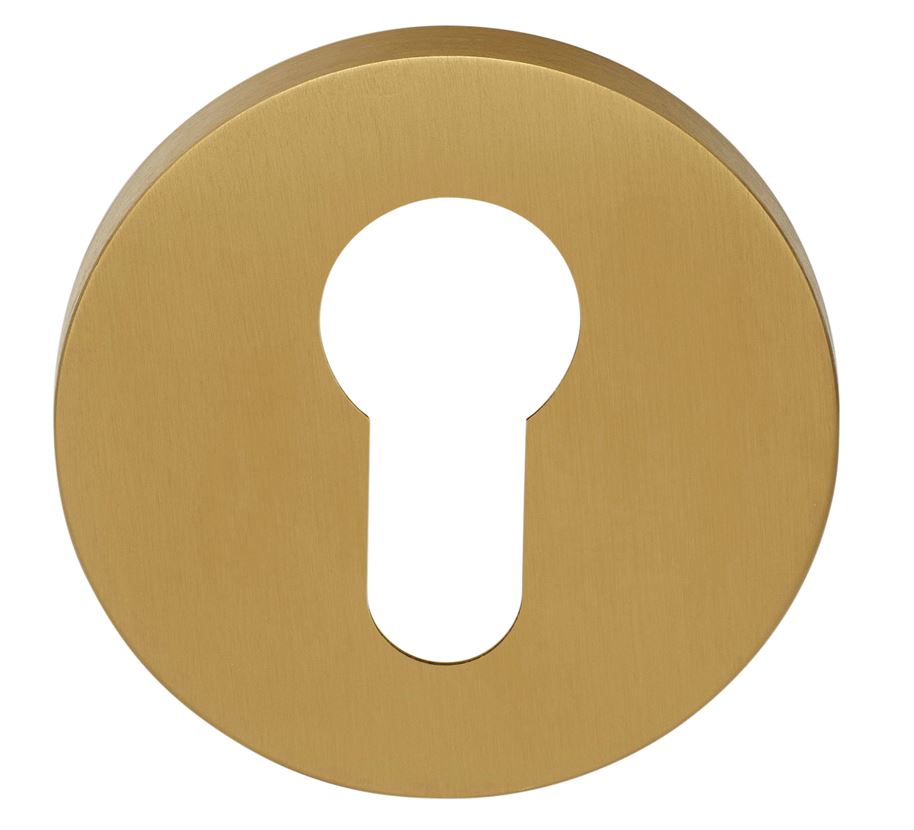 Cilinderplaatje ECLIPSE DRY53 PVD mat goud