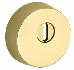 SKG3 Veiligheidsrozet voor oplegsloten met rondcilinder en kerntrekbeveiliging messing ongelakt