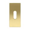 Sleutelplaatje SQUARE LSQBN32 Rechthoekig PVD Mat Goud