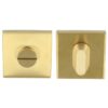 Toiletgarnituur BASIC BSQWC53ZI Blind PVD mat goud