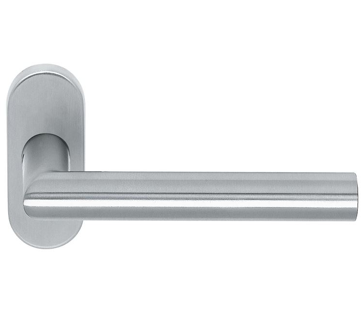 Deurkruk op ovaal rozet Tessa RVS mat