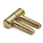 Meubel Inboorpaumelle 9 x 25 mm staal vermessingd