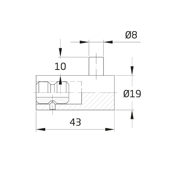 Kapstokhaak Ø19 X 43 mm rvs