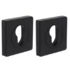 Intersteel cilinderrozetten verdekt 55x55x10mm met nokken zwart