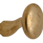 Knop Paddenstoel tbv SKG schild messing antiek