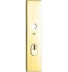 SKG3 rechthoekig schild PC92 buiten met kerntrekbeveiliging messing PVD