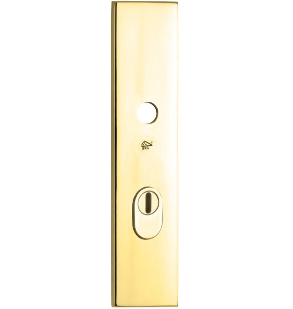 SKG3 rechthoekig schild PC72 buiten met kerntrekbeveiliging messing PVD