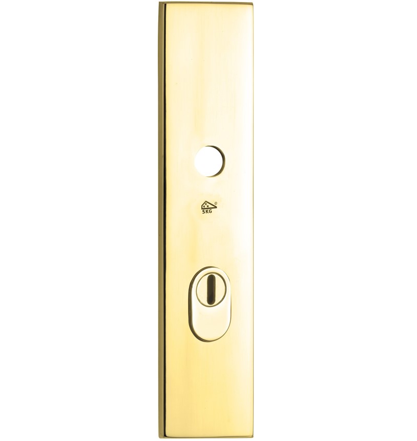 SKG3 rechthoekig schild PC55 buiten met kerntrekbeveiliging messing PVD