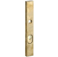 SKG3 rechthoekig smal schild PC92 buiten met kerntrekbeveiliging messing antiek