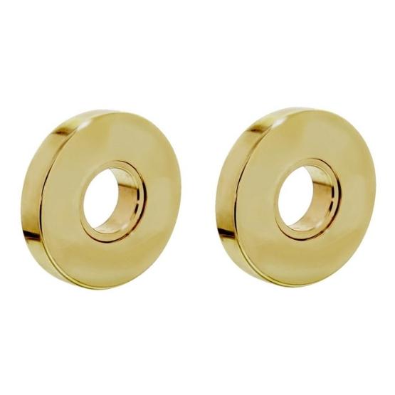 Intersteel rozetten verdekt ø50x8mm messing gelakt