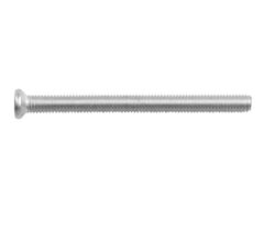 Intersteel Bout 6-kant M6x100mm tbv SKG3 rozetten voor deurdikte 87-89mm rvs