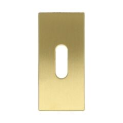 Sleutelplaatje rechthoekig verdekt PVD mat goud