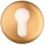 Cilinderplaatje NOUR EVBY52 PVD Mat Goud