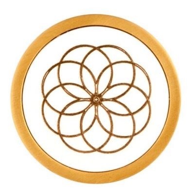 Knop vast op rozet NOUR EV102V/64 PVD mat goud - Afbeelding 3