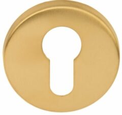 Cilinderplaatje BASIC LBY50 6 mm PVD Mat Goud