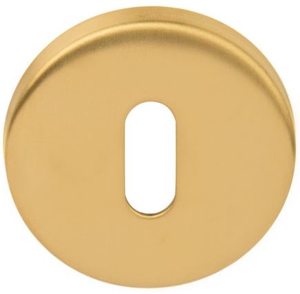 Sleutelplaatje BASIC LBN50 6 mm PVD Mat Goud