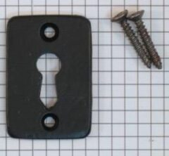 Sleutelplaat verticaal ijzer zwart 47x33x4 mm